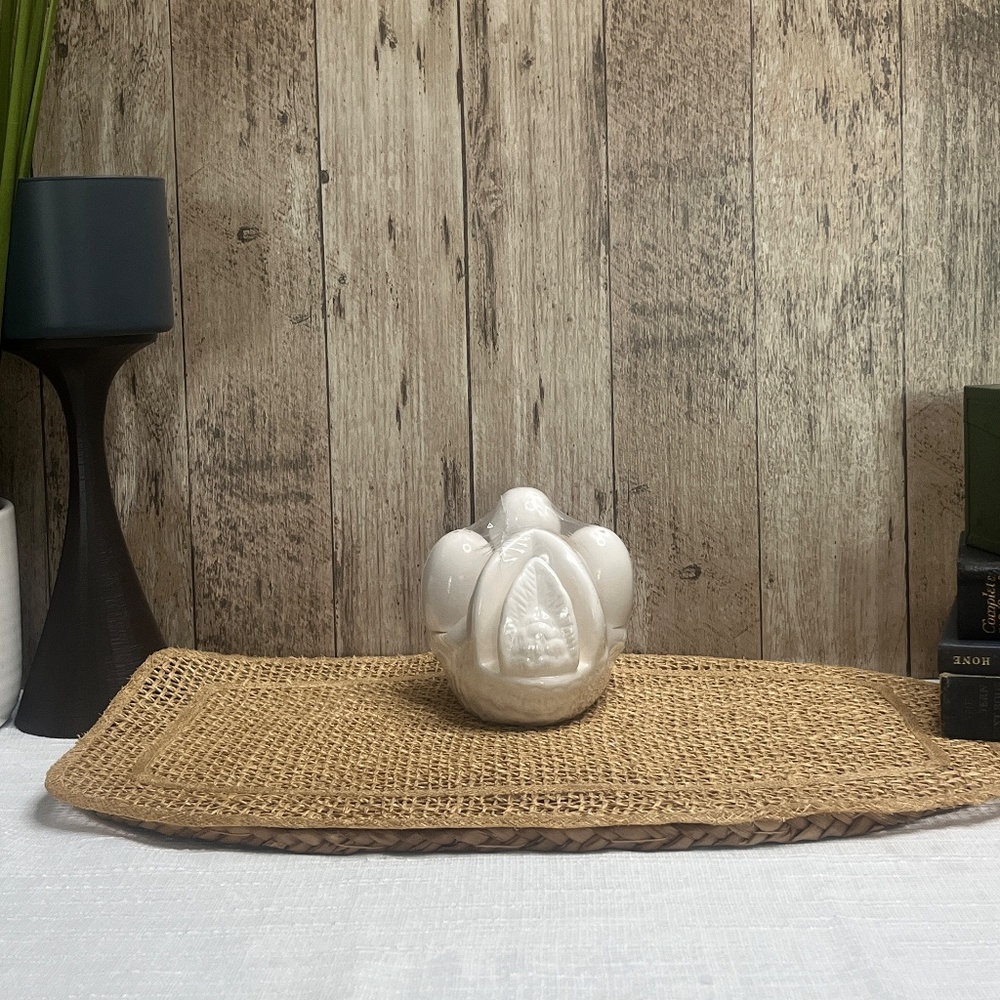 Vintage Goose Salt & Pepper Shakers w/ Holder | Ceramic Farmhouse Kitchen Decor - Picture 5 of 9